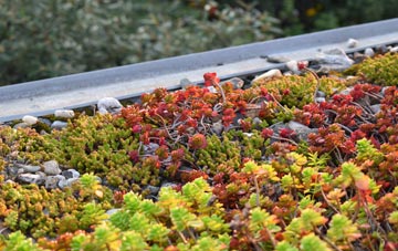 the cost of Bretford green roof installation